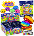Mystery Glow in the Dark Squishy Mini Dumplings Blind Bag